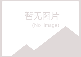 防城港山柳会计有限公司